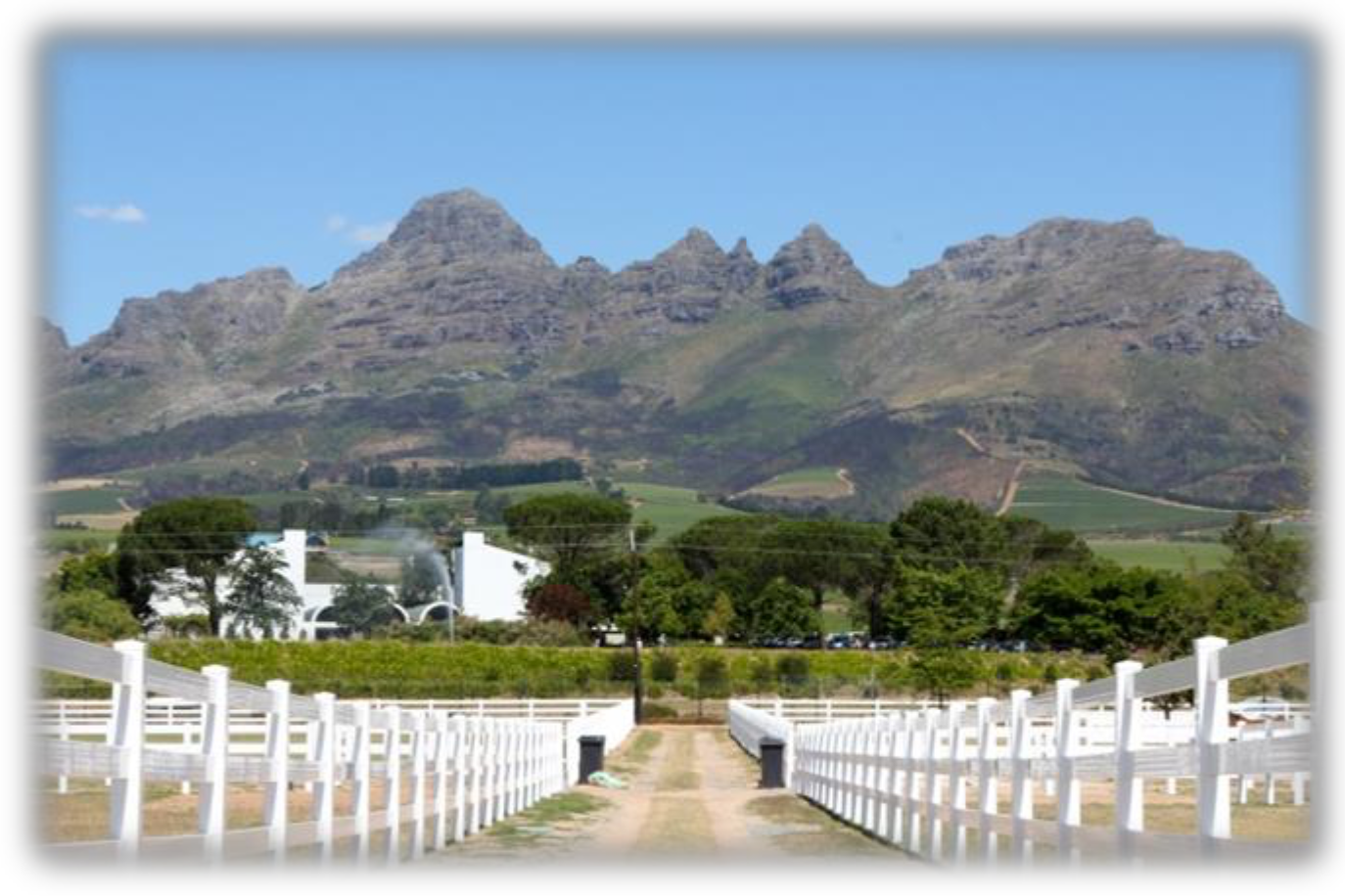 Screenshot%202023 01-25%20at%2008.38.36