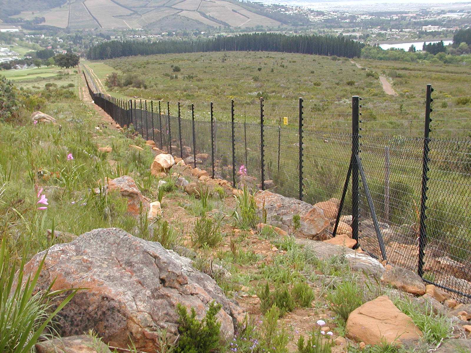 placeholder image-sq